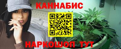 сатива Кулебаки